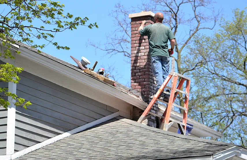 Chimney & Fireplace Inspections Services in Carrollwood, FL